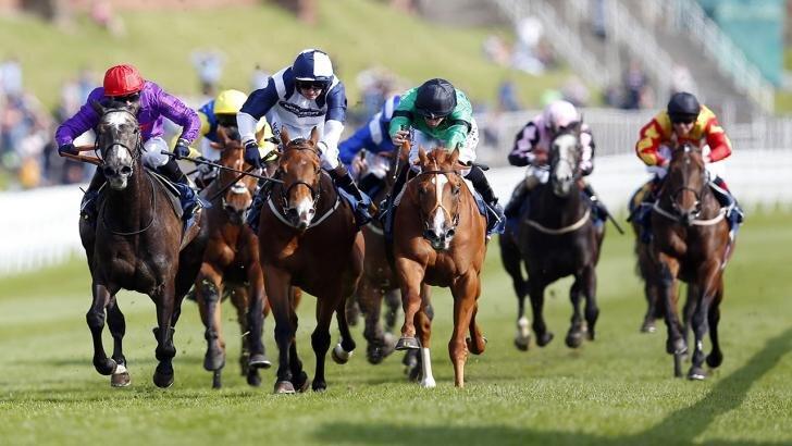Horse racing at Chester